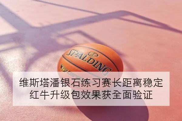 维斯塔潘银石练习赛长距离稳定 红牛升级包效果获全面验证